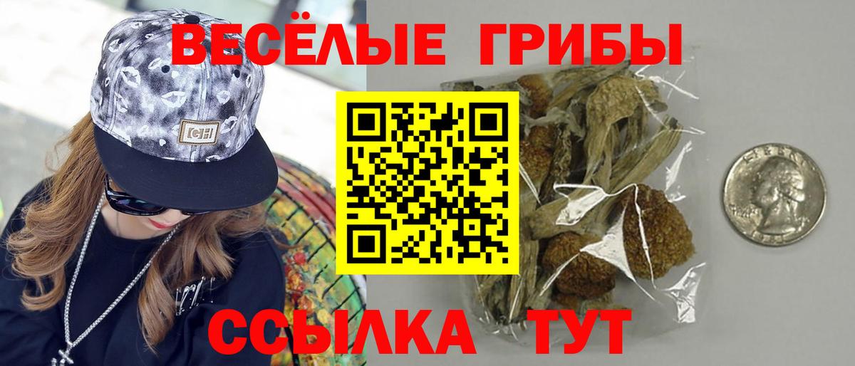 Ростов-на-Дону  Псилоцибиновые грибы ЛСД  Вход с VPN 